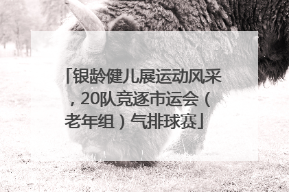 银龄健儿展运动风采，20队竞逐市运会（老年组）气排球赛