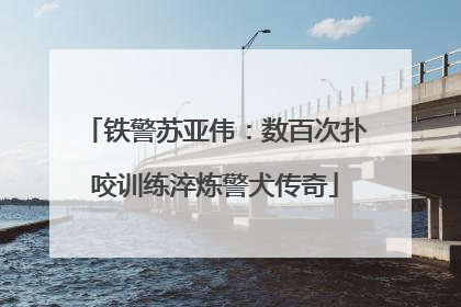 铁警苏亚伟：数百次扑咬训练淬炼警犬传奇