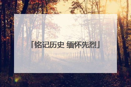 铭记历史 缅怀先烈