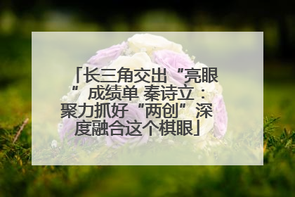 长三角交出“亮眼”成绩单 秦诗立：聚力抓好“两创”深度融合这个棋眼