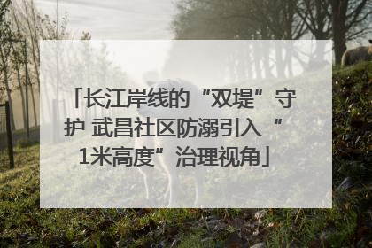 长江岸线的“双堤”守护 武昌社区防溺引入“1米高度”治理视角