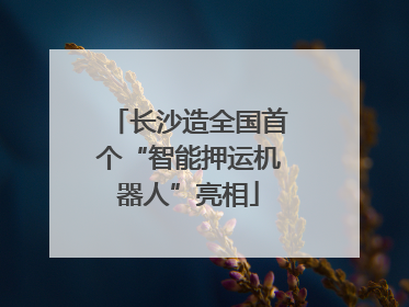 长沙造全国首个“智能押运机器人”亮相