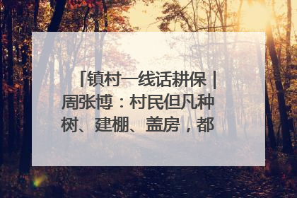 镇村一线话耕保｜周张博：村民但凡种树、建棚、盖房，都要向街道报批