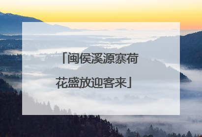 闽侯溪源寨荷花盛放迎客来