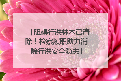 阻碍行洪林木已清除！检察履职助力消除行洪安全隐患
