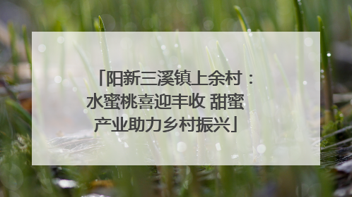 阳新三溪镇上余村：水蜜桃喜迎丰收 甜蜜产业助力乡村振兴