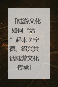 陆游文化如何“活 ”起来？宁德、绍兴共话陆游文化传承