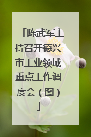 陈武军主持召开德兴市工业领域重点工作调度会（图）