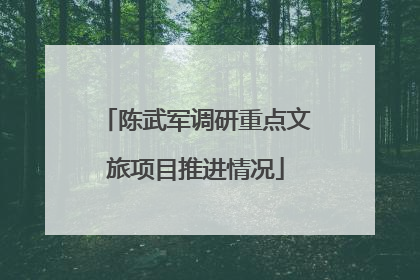 陈武军调研重点文旅项目推进情况