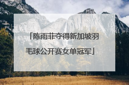 陈雨菲夺得新加坡羽毛球公开赛女单冠军