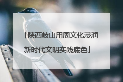 陕西岐山用周文化浸润新时代文明实践底色