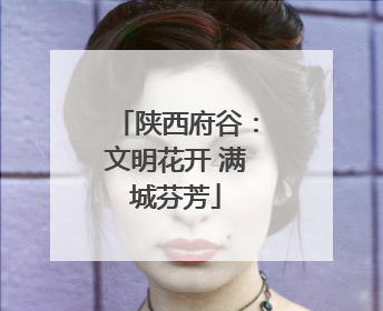 陕西府谷：文明花开 满城芬芳