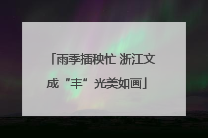 雨季插秧忙 浙江文成“丰”光美如画