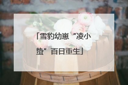 雪豹幼崽“凌小蛰”百日重生