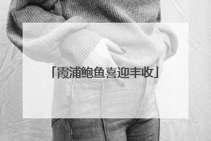 霞浦鲍鱼喜迎丰收