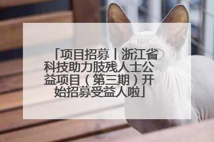 项目招募丨浙江省科技助力肢残人士公益项目（第三期）开始招募受益人啦