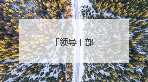 领导干部任前公示