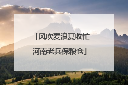 风吹麦浪夏收忙 河南老兵保粮仓