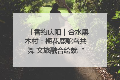 香约庆阳｜合水黑木村：梅花鹿鸵鸟共舞 文旅融合绘就“诗与远方”