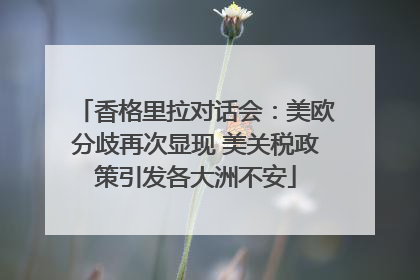 香格里拉对话会：美欧分歧再次显现 美关税政策引发各大洲不安