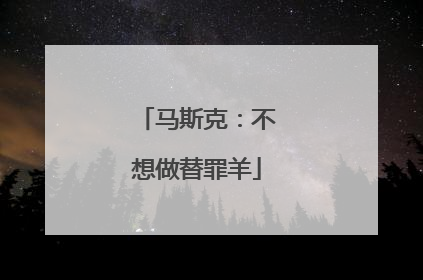 马斯克：不想做替罪羊