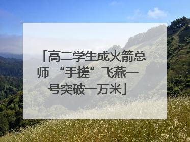 高二学生成火箭总师 “手搓”飞燕一号突破一万米