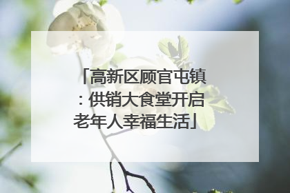 高新区顾官屯镇：供销大食堂开启老年人幸福生活