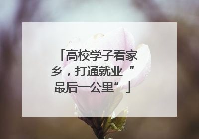 高校学子看家乡，打通就业“最后一公里”