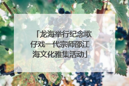 龙海举行纪念歌仔戏一代宗师邵江海文化雅集活动