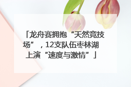 龙舟赛拥抱“天然竞技场”，12支队伍枣林湖上演“速度与激情”