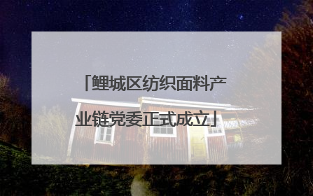 鲤城区纺织面料产业链党委正式成立