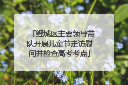 鲤城区主要领导带队开展儿童节走访慰问并检查高考考点