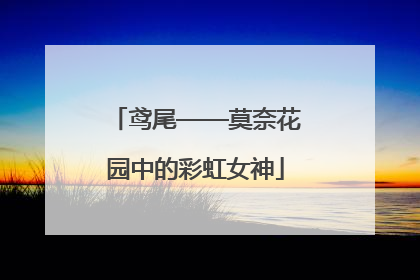 鸢尾——莫奈花园中的彩虹女神