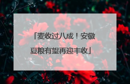 麦收过八成！安徽夏粮有望再迎丰收
