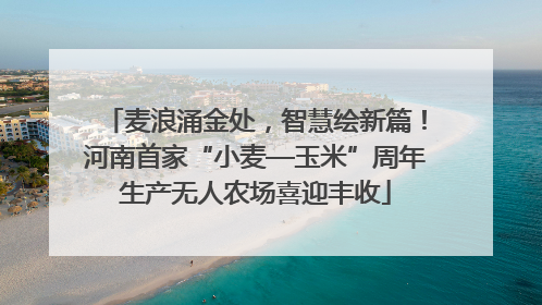 麦浪涌金处，智慧绘新篇！河南首家“小麦—玉米”周年生产无人农场喜迎丰收