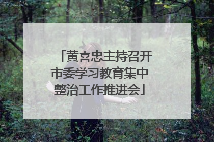 黄喜忠主持召开市委学习教育集中整治工作推进会