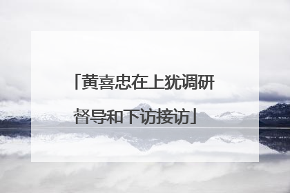 黄喜忠在上犹调研督导和下访接访