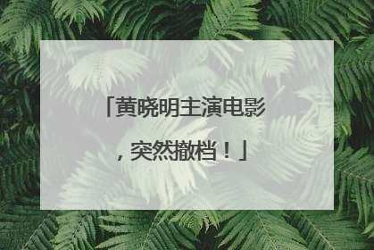 黄晓明主演电影，突然撤档！