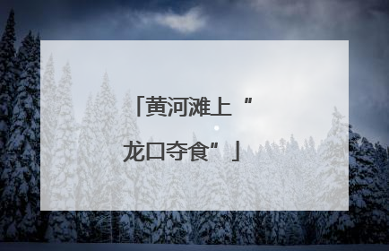 黄河滩上“龙口夺食”