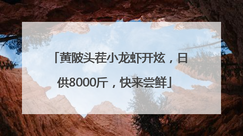黄陂头茬小龙虾开炫，日供8000斤，快来尝鲜