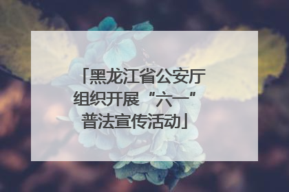 黑龙江省公安厅组织开展“六一”普法宣传活动