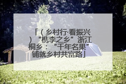 （乡村行·看振兴）“槜李之乡”浙江桐乡：“千年名果”铺就乡村共富路