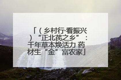 （乡村行·看振兴）“正北芪之乡”：千年草本焕活力 药材生“金”富农家