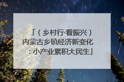 （乡村行·看振兴）内蒙古乡镇经济新变化：小产业累积大民生