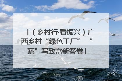 （乡村行·看振兴）广西乡村“绿色工厂” “蔬”写致富新答卷