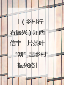 （乡村行·看振兴）江西信丰一片茶叶“沏”出乡村振兴路