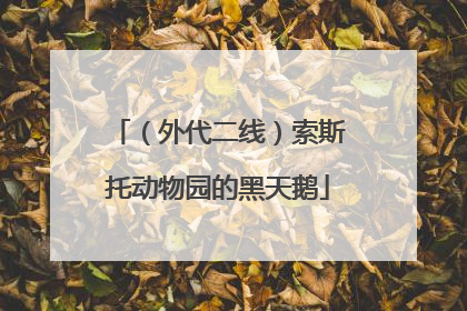 （外代二线）索斯托动物园的黑天鹅