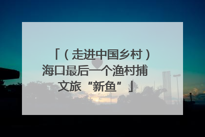 （走进中国乡村）海口最后一个渔村捕文旅“新鱼”