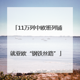 11万列中欧班列铺就亚欧“钢铁丝路”