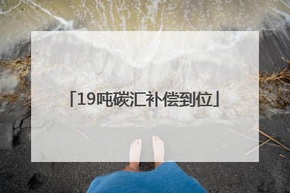 19吨碳汇补偿到位